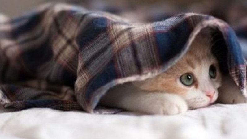 Синоптики спрогнозували погоду в Україні на вихідні