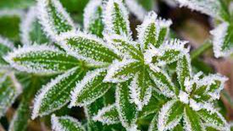 В Україні на два дні оголосили І рівень небезпечності