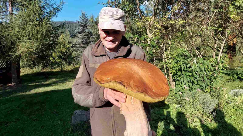 У Карпатах знайшли гриб вагою 3 кілограми