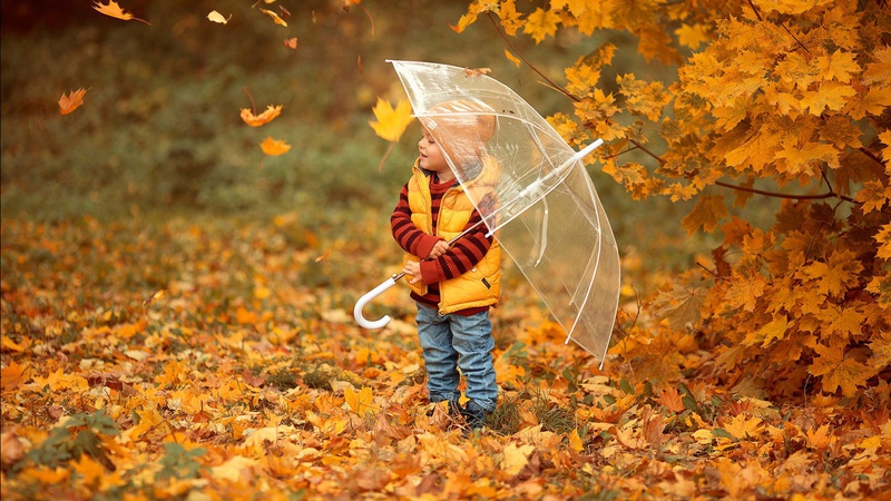 Погода у листопаді 2021 в Україні: прогноз синоптиків на місяць