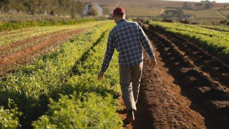 Програми з підтримки фермерів заморожені через зміну назви міністерства