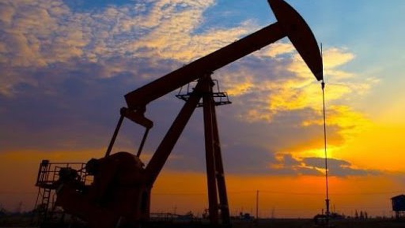 АМКУ віддав дочкам Злочевського нафтове родовище на Волині