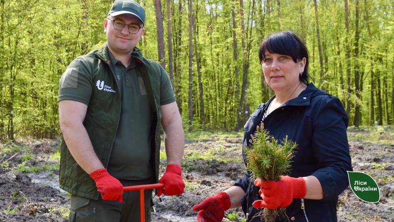 На Ківерцівщині заліснили майже 200 га. ФОТО