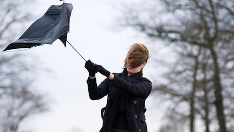 На Волині прогнозують сильні пориви вітру