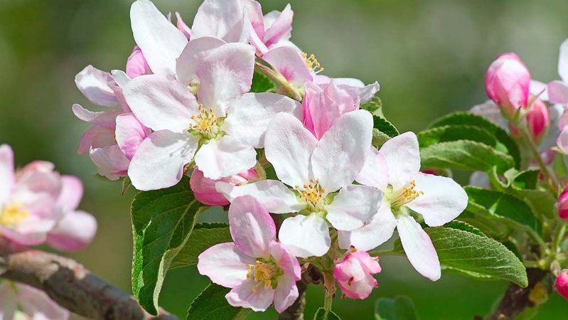 Синоптикиня розповіла, коли до України прийде потепління