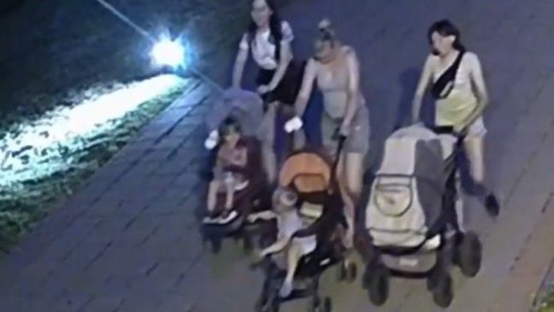 У Луцьку з Центрального парку троє жінок покрали квіти: просять розпізнати