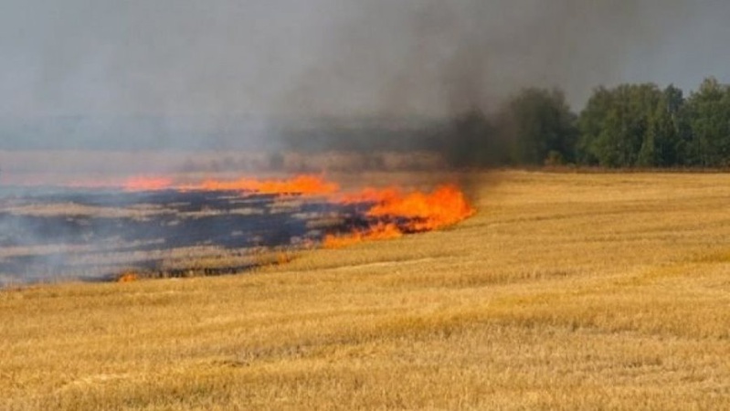 Гасили понад 7 годин: рятувальники показали, як горіло поле біля Луцька.ВІДЕО