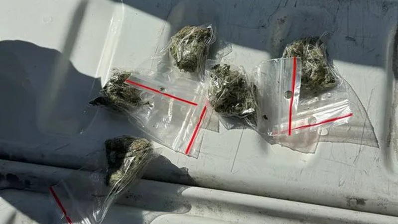 У Луцьку в 32-річного перехожого знайшли пакунки з канабісом