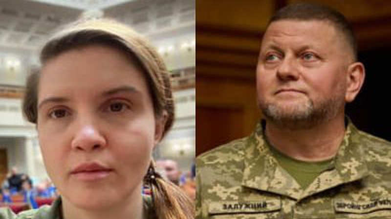 «Ведмежа послуга»: скандальні закиди Безуглої щодо Залужного спричинили зворотній ефект на Заході