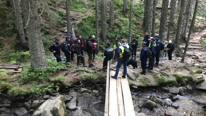 На Говерлі продовжують шукати зниклого хлопчика: поліція опублікувала його фото