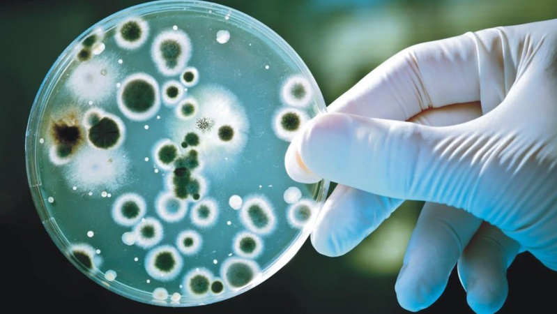 На Волині зареєстровано 12 випадків вірусного гепатиту А