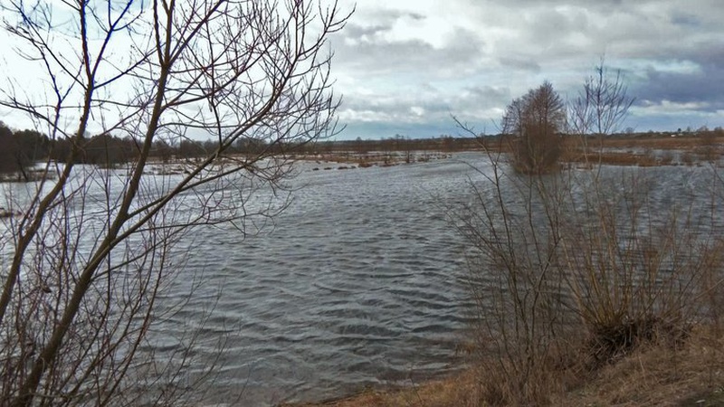 На Волині підтопило майже три тисячі гектарів сільгоспугідь