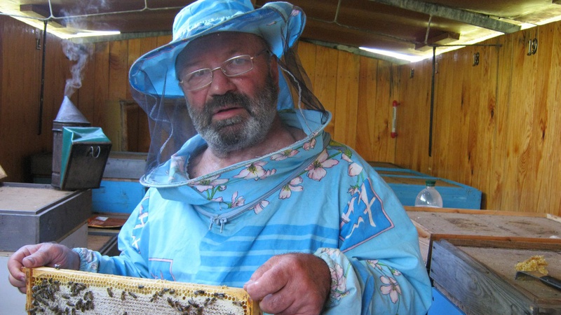 Харків’янин перебрався на Волинь доглядати пасіку військового