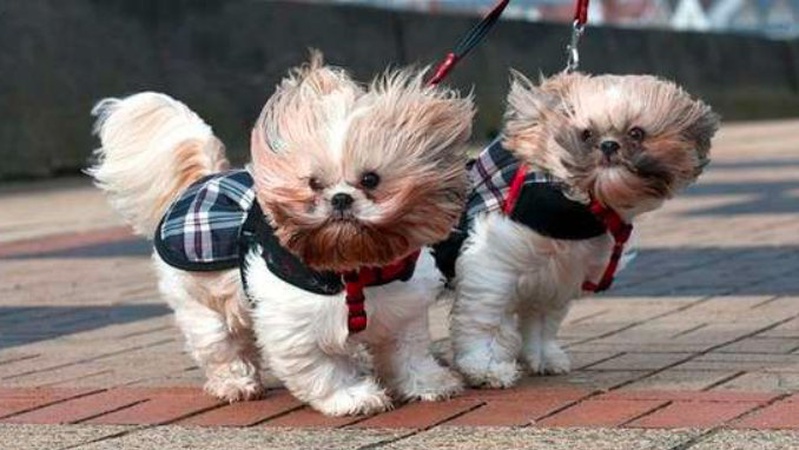 Дощі, град і шквали накриють західні області: прогноз погоди на 13 липня