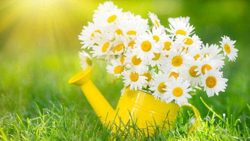 Спека, місцями дощі з грозами: прогноз погоди на 5 серпня