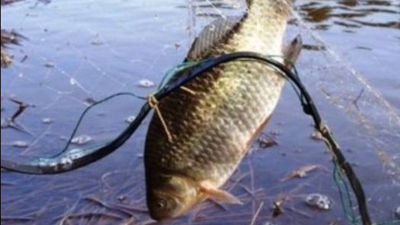На Волині покарали чоловіка, який незаконно ловив рибу