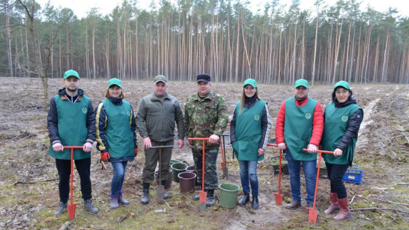 У Рожищенській громаді прибрали парк і висадили сіянці сосни