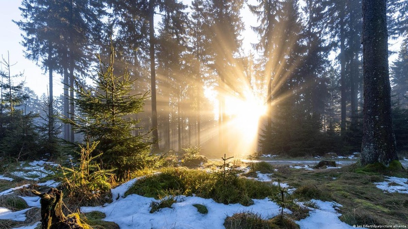 Плюсова температура, без опадів: прогноз погоди на 29 грудня