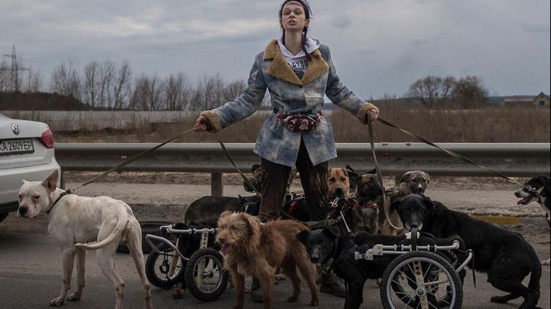 Дівчина рятувала собак з інвалідністю під обстрілами