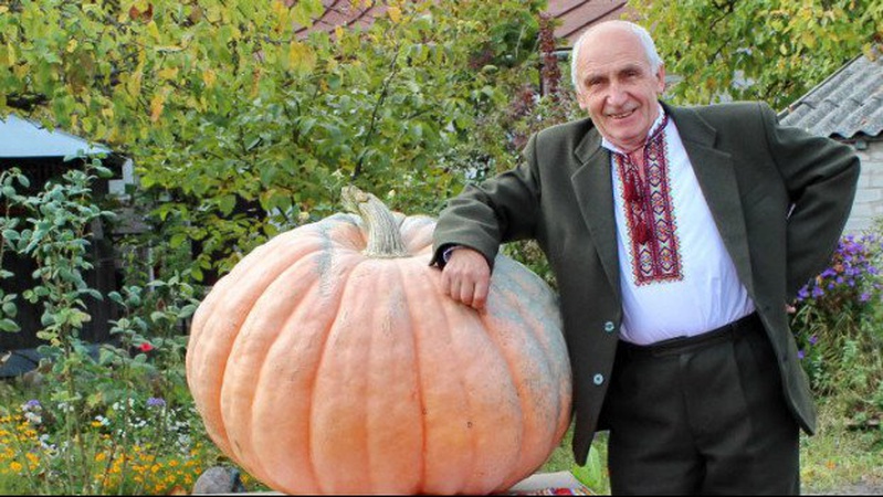 У волинянина на городі виріс гігантський гарбуз