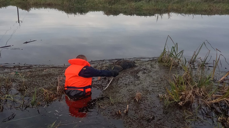 На Волині з річки дістали тіло утопельника