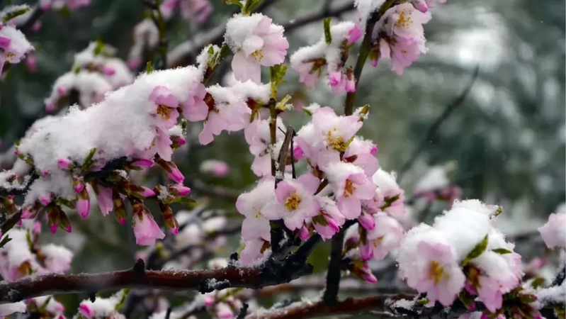 В Україну йде холод із заморозками до -4 та снігом зі Скандинавії
