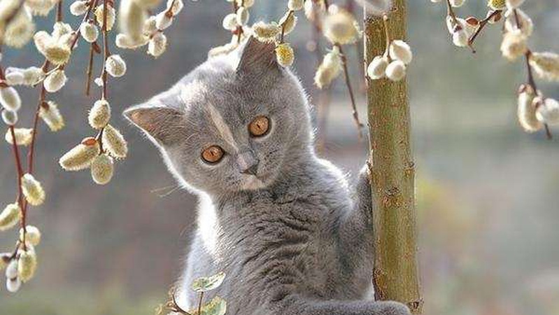 Хмарно, подекуди невеликий дощ: прогноз погоди на 26 лютого