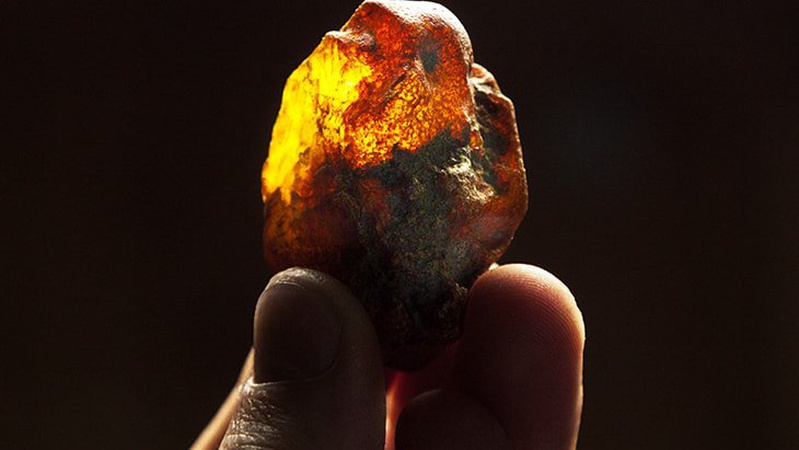 На Волині судили чоловіка за знайдені 100 грамів бурштину