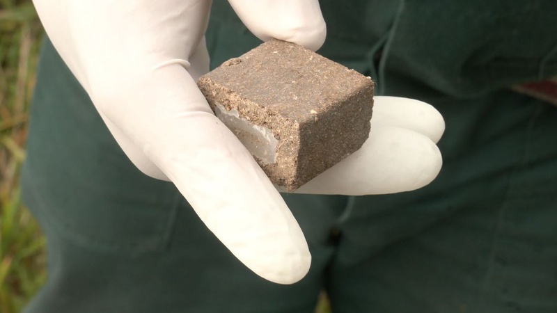 На Волині виявили 31 випадок сказу