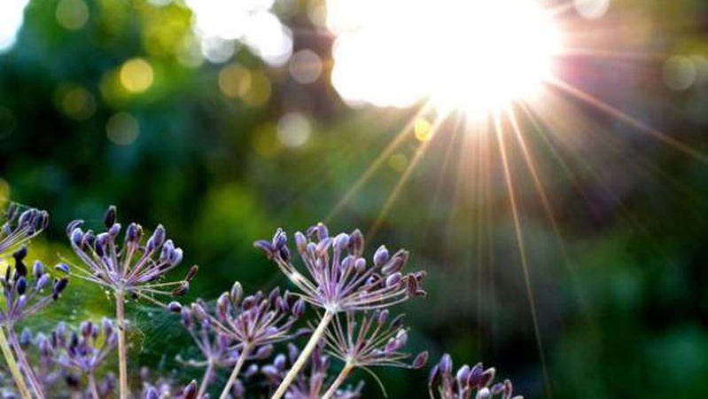 Синоптик спрогнозувала погоду на вихідні