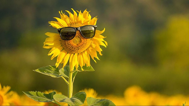 Спека, місцями дощі та грози: прогноз погоди на 3 липня