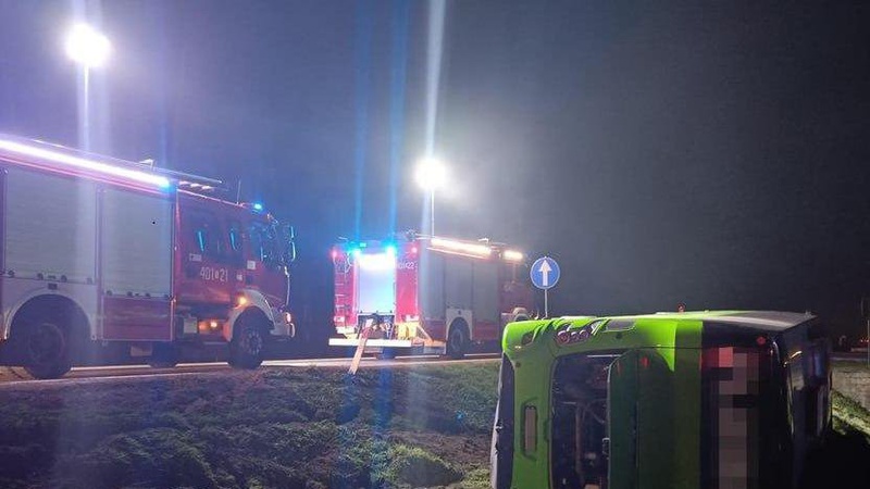 На дорогу вибігла косуля: у Польщі перекинувся автобус з українцями, є постраждалі