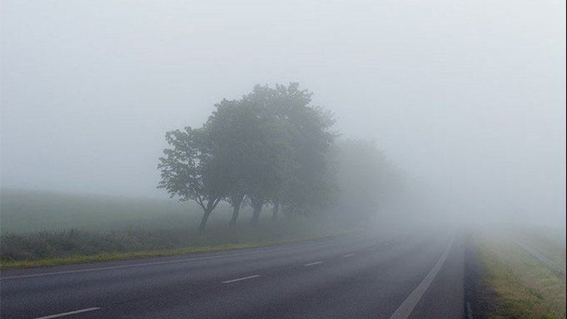 «Жовтий» рівень небезпечності: волинян попереджають про туман