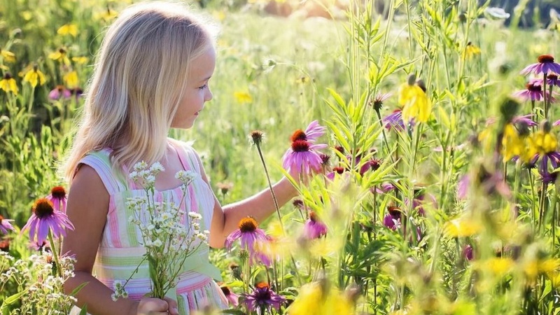 Спекотно і без опадів: прогноз погоди на 14 серпня