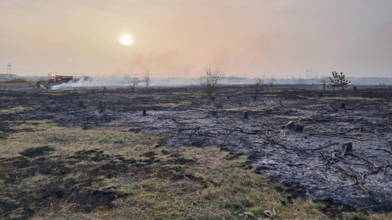 На Волині вигоріло півтора гектара поля