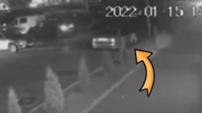 У Луцьку шукають винуватицю ДТП, яка пошкодила авто й втекла. ВІДЕО