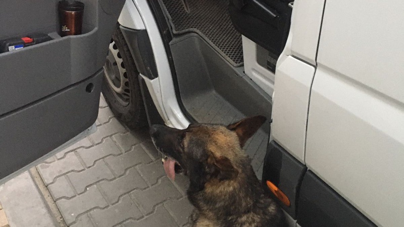 Мешканець Львівщини віз через Устилуг за кордон канабіс і гашиш. ФОТО