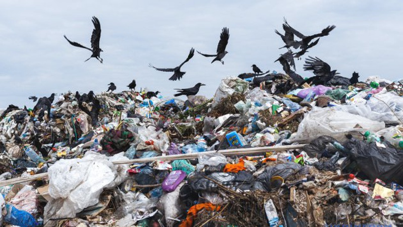 Росія планує вивозити своє сміття на тимчасово захоплені території - Центр нацспротиву