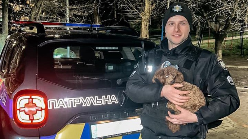 У Луцьку патрульні повернули чотирилапого мандрівника господарям