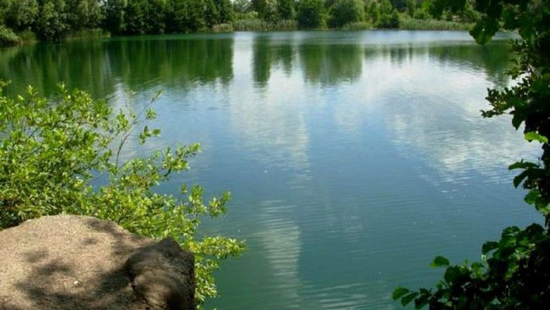 Волинські рятувальники розповіли правила безпеки під час відпочинку на природі