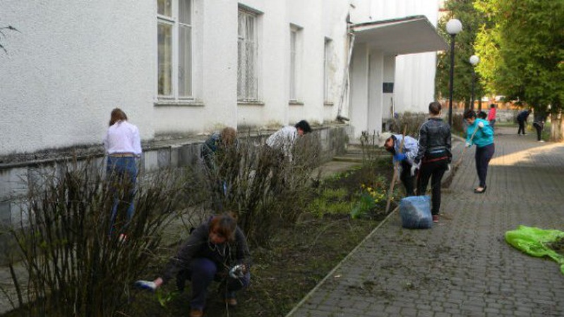 Перенесли екологічну толоку в Луцькій територіальній громаді