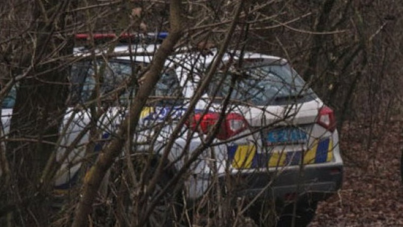 У лісосмузі на Волині знайшли ледь живого юнака