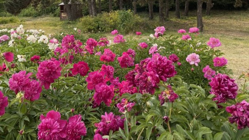 Більшість областей накриють грози: прогноз погоди на 8 червня