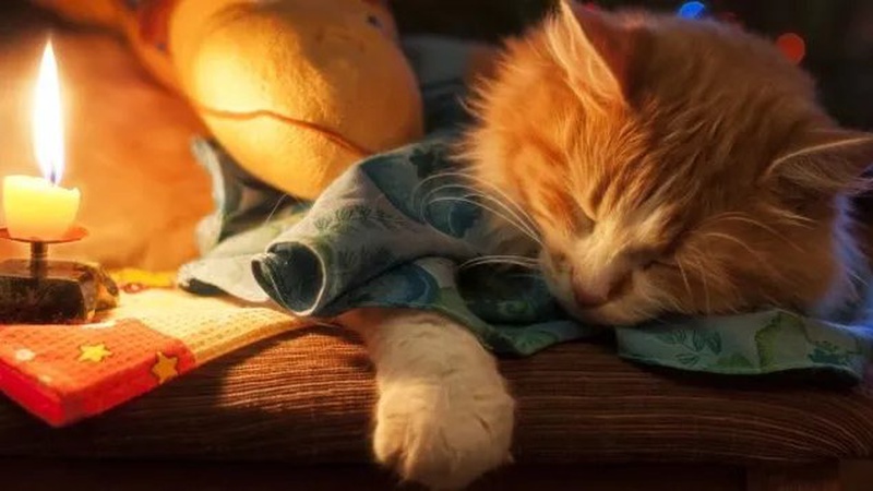 Графік вимкнення електроенергії на Волині 3 липня