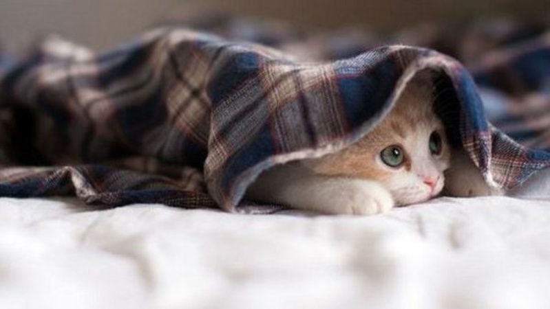 На Україну насувається похолодання