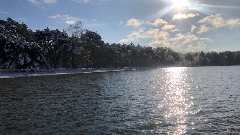 Показали як виглядає озеро на Волині взимку. ФОТО