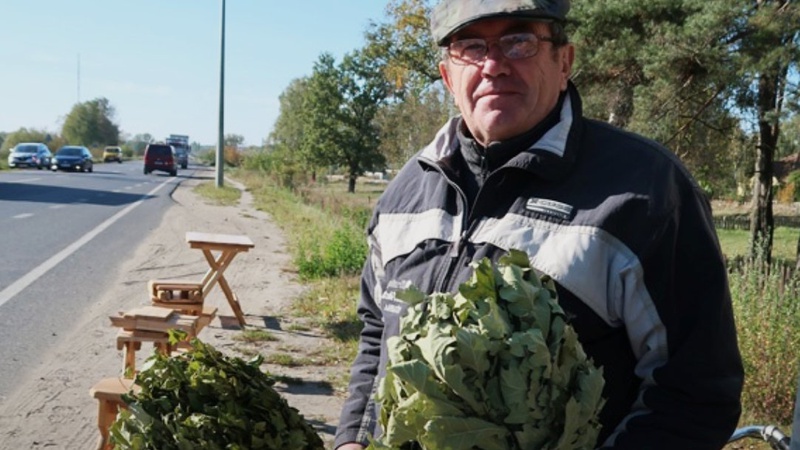 Віниками для лазні, які робить волинянин, користуються в Саудівській Аравії