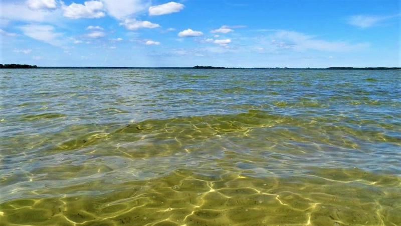 Ледь не по людях: на пляжі Світязю їздив елітний Hummer на київських номерах