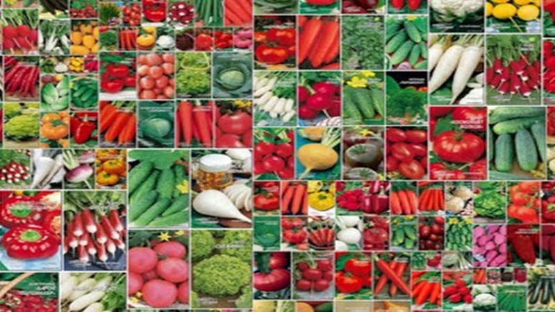 В громадах на Волині переселенцям безплатно роздадуть насіння овочів