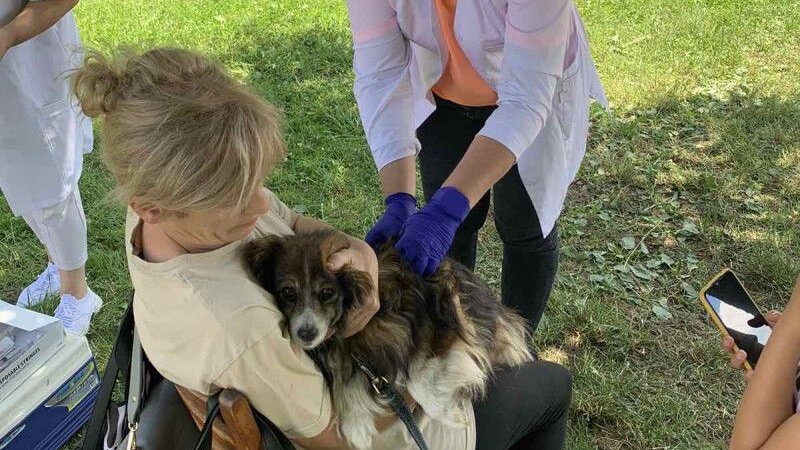 На Волині від сказу провакцинували 6553 домашні тварини